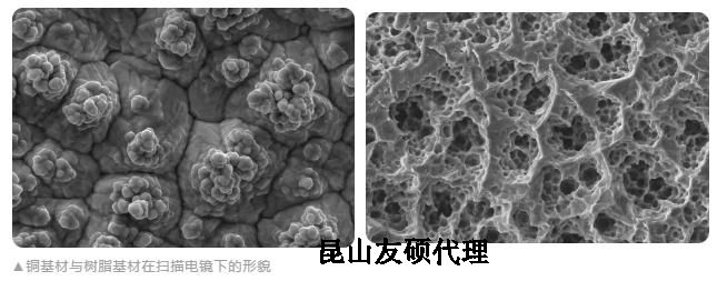 南通蔡司南通扫描电镜